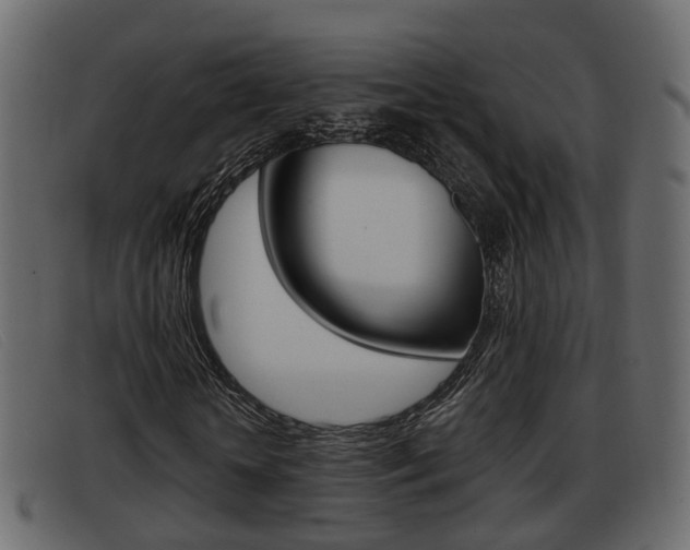 X0000093360818200710111307