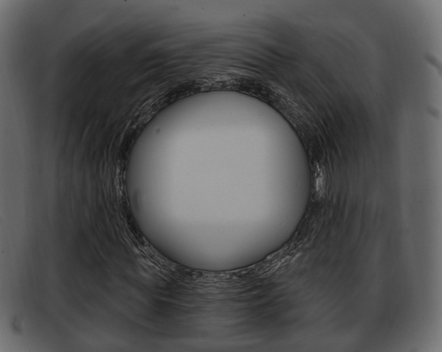X0000093360819200710111307