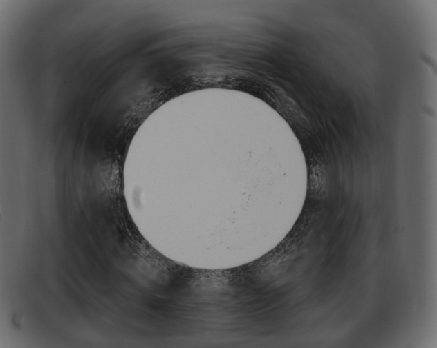 X0000093360820200710111307