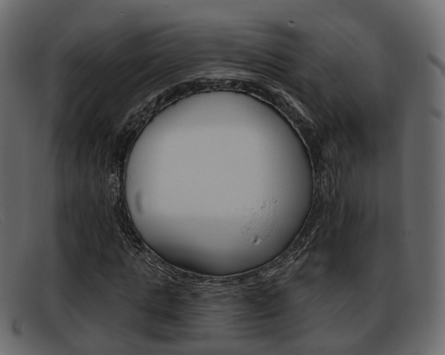 X0000093360821200710111307