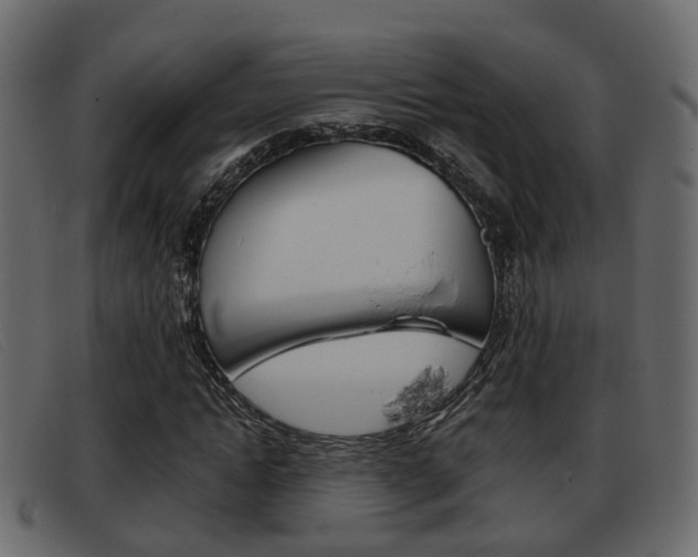 X0000093360822200710111307