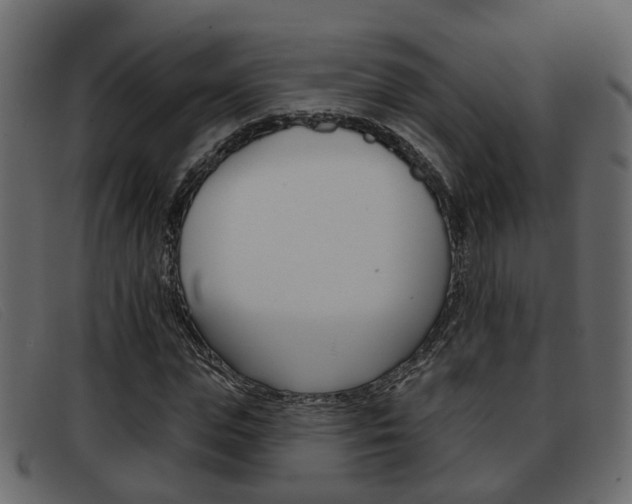 X0000093360823200710111307