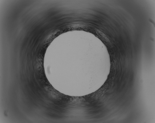 X0000093360824200710111307