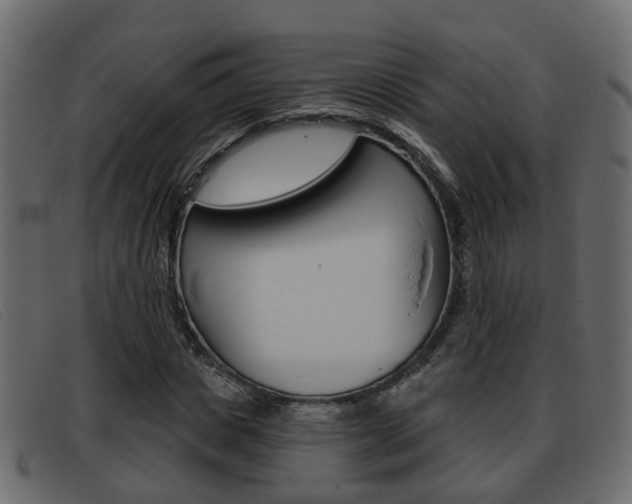 X0000093360825200710111307