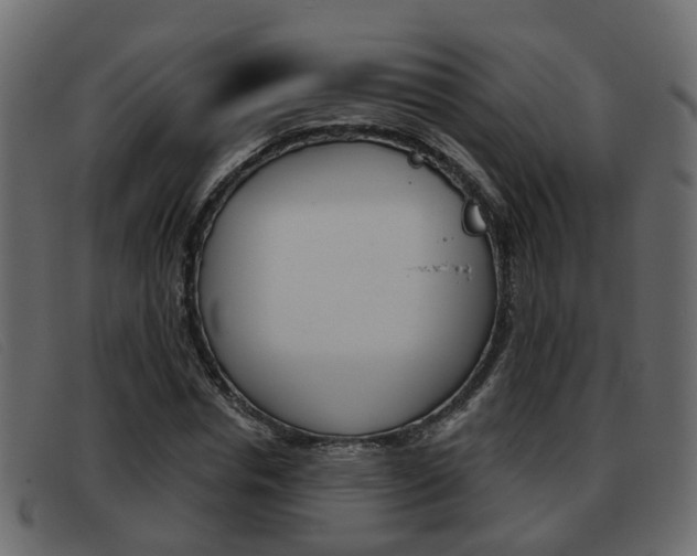 X0000093360826200710111307