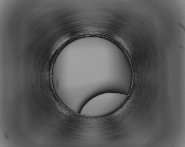 X0000093360827200710111307