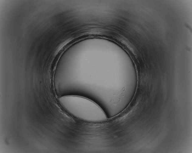 X0000093360829200710111307