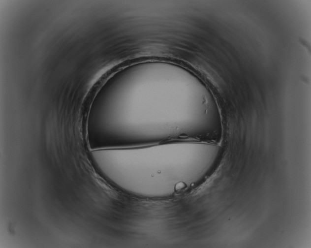 X0000093360830200710111307