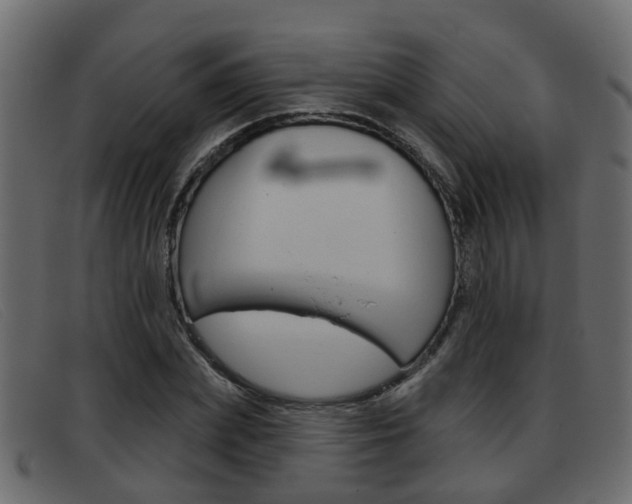 X0000093360831200710111307