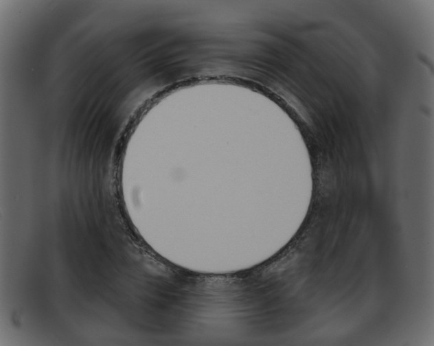 X0000093360832200710111307