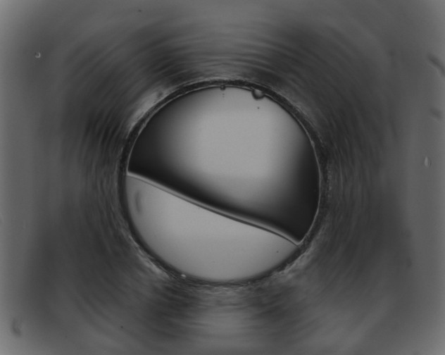 X0000093360834200710111307