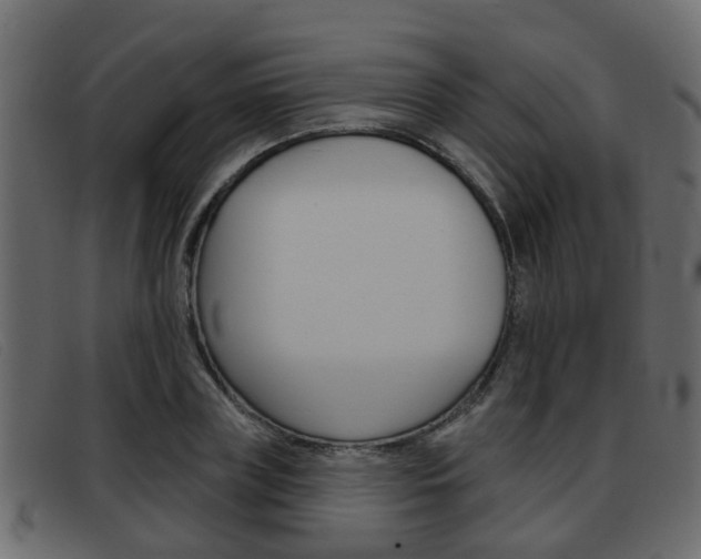 X0000093360835200710111307