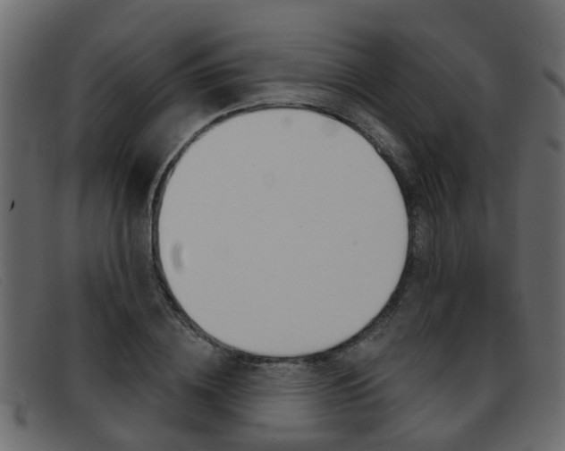 X0000093360836200710111307