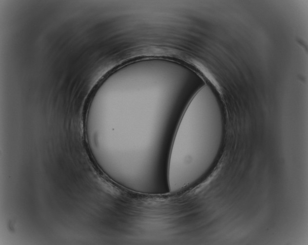 X0000093360837200710111307