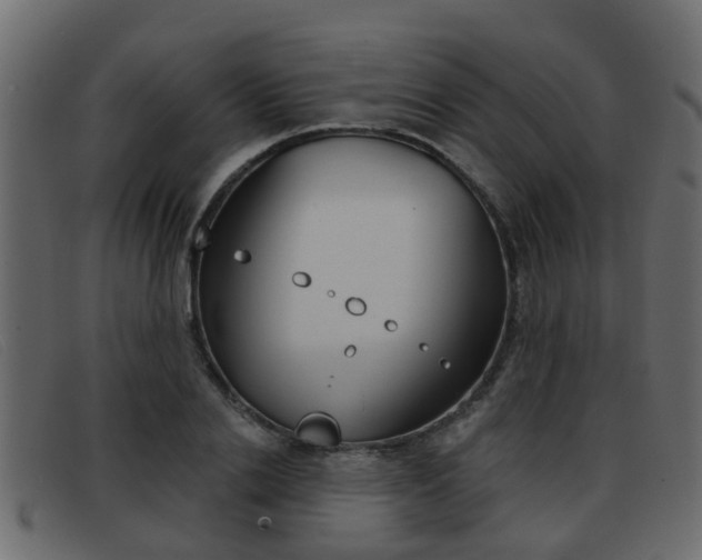 X0000093360838200710111307