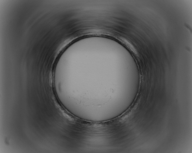 X0000093360839200710111307