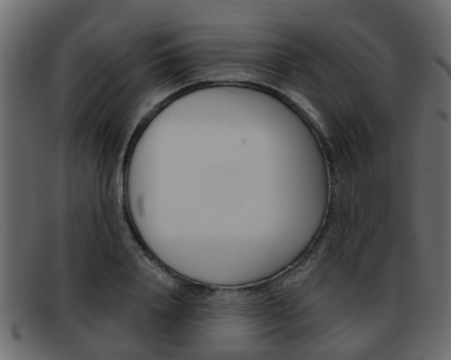 X0000093360840200710111307