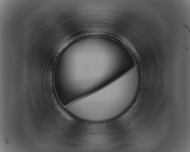 X0000093360842200710111307