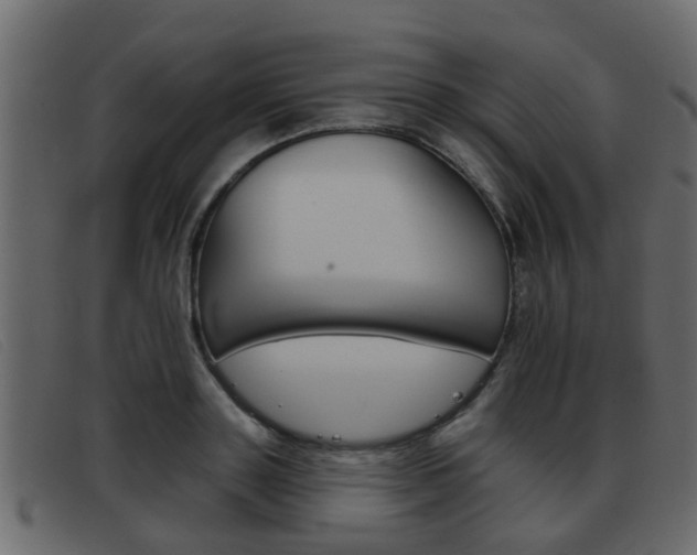 X0000093360843200710111307