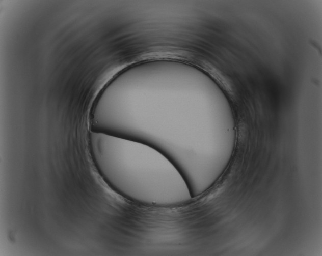 X0000093360844200710111307