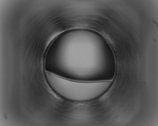 X0000093360846200710111307