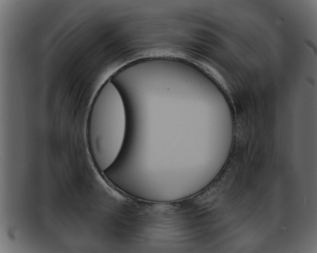 X0000093360847200710111307