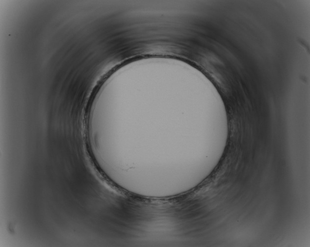 X0000093360848200710111307