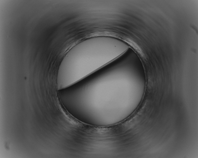 X0000093360849200710111307