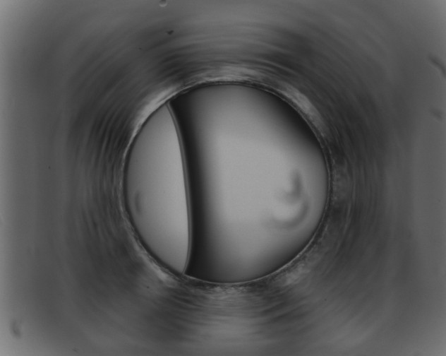 X0000093360850200710111307