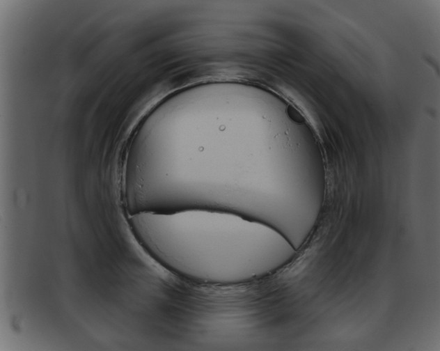 X0000093360851200710111307