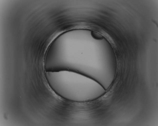 X0000093360852200710111307