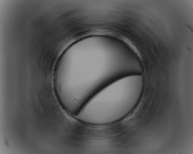 X0000093360853200710111307