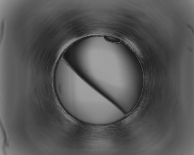X0000093360854200710111307