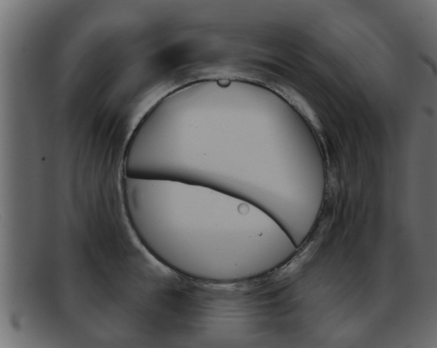 X0000093360855200710111307