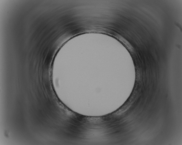 X0000093360856200710111307