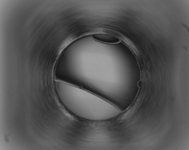 X0000093360858200710111307