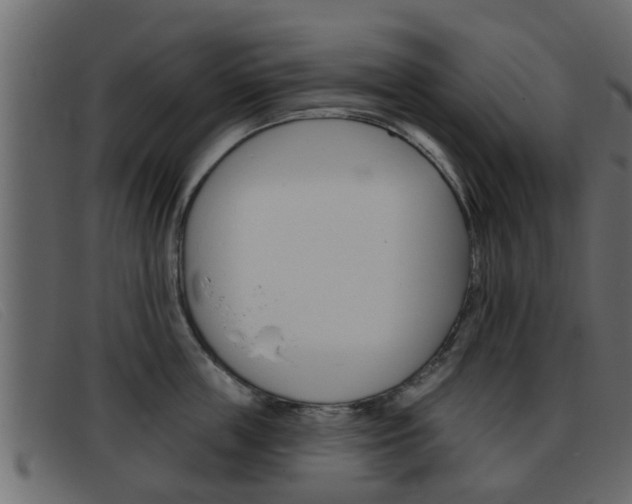 X0000093360859200710111307