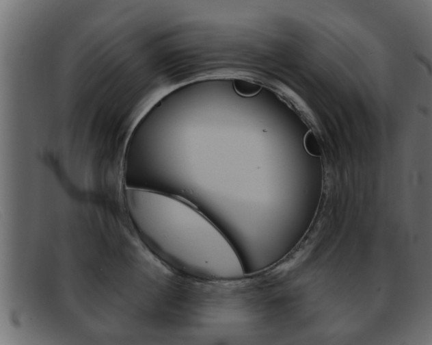 X0000093360860200710111307