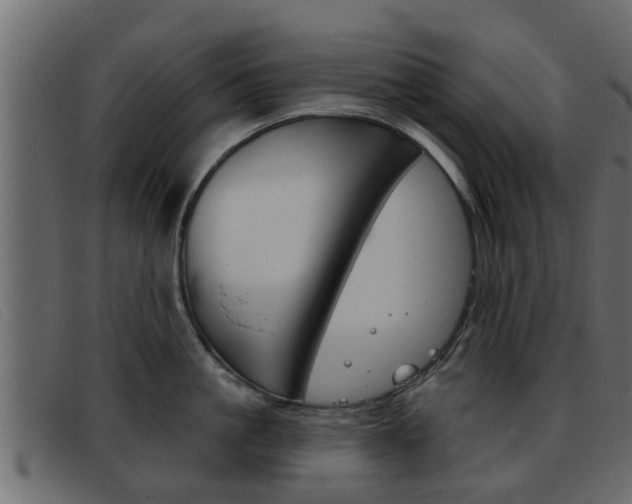 X0000093360861200710111307