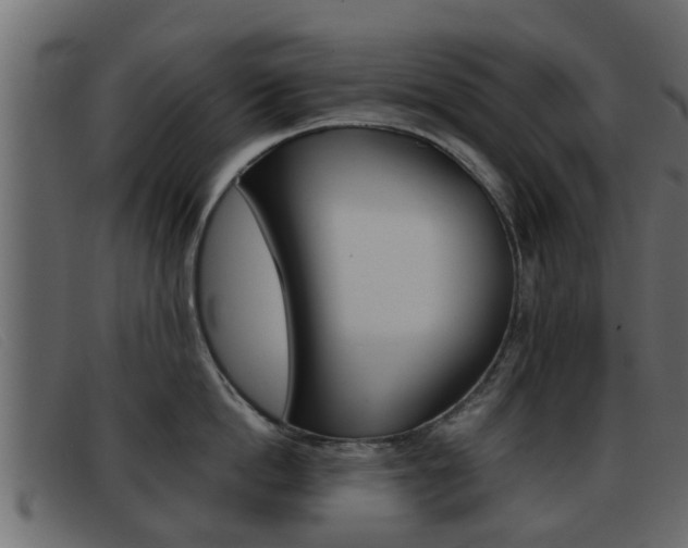 X0000093360862200710111307