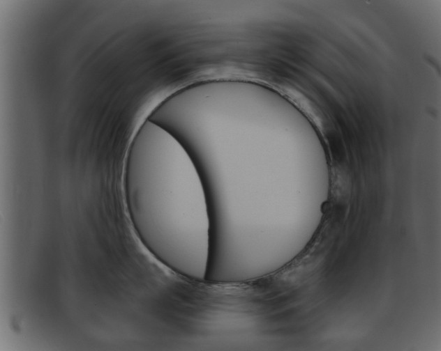 X0000093360863200710111307