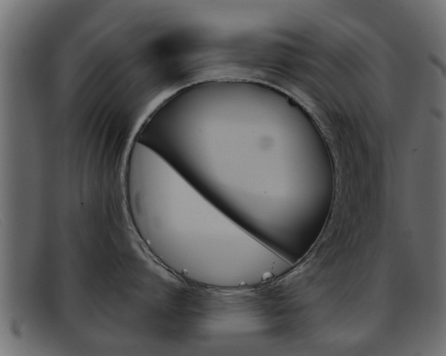 X0000093360864200710111307
