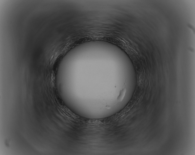 X0000093360866200710111307