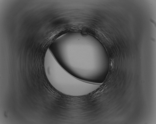 X0000093360867200710111307
