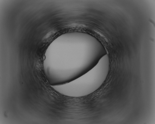 X0000093360869200710111307