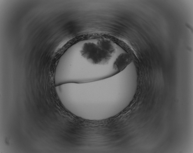 X0000093360871200710111307