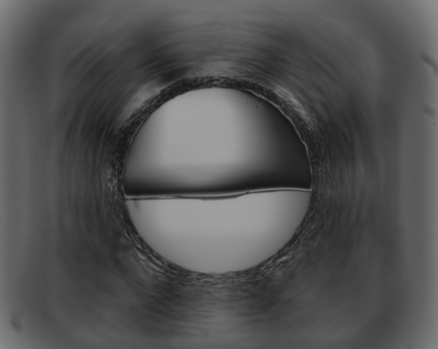 X0000093360872200710111306