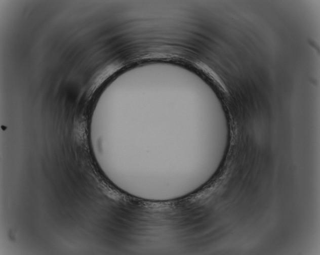 X0000093360874200710111306