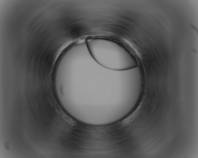 X0000093360875200710111306