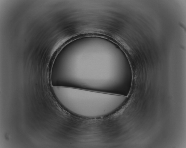 X0000093360877200710111306